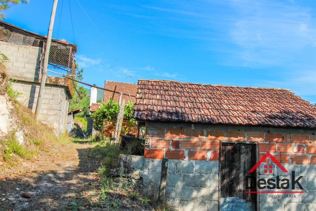 Quinta T3 para Venda em Sul Foto 6