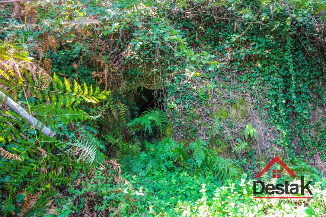 Quinta T3 para Venda em Sul Foto 17