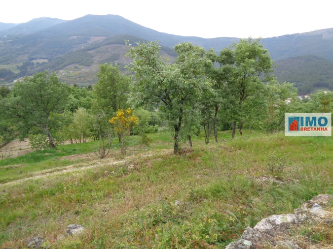 Moradia T1 para Venda em Teixoso e Sarzedo Foto 8