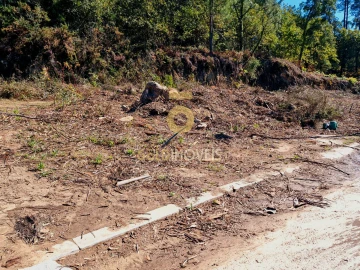 Terreno para Venda em Pinheiro da Bemposta, Travanca e Palmaz