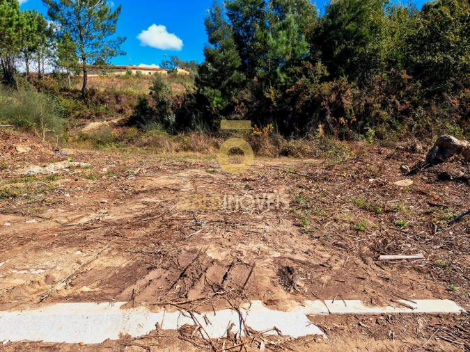 Terreno para Venda em Pinheiro da Bemposta, Travanca e Palmaz Foto 5