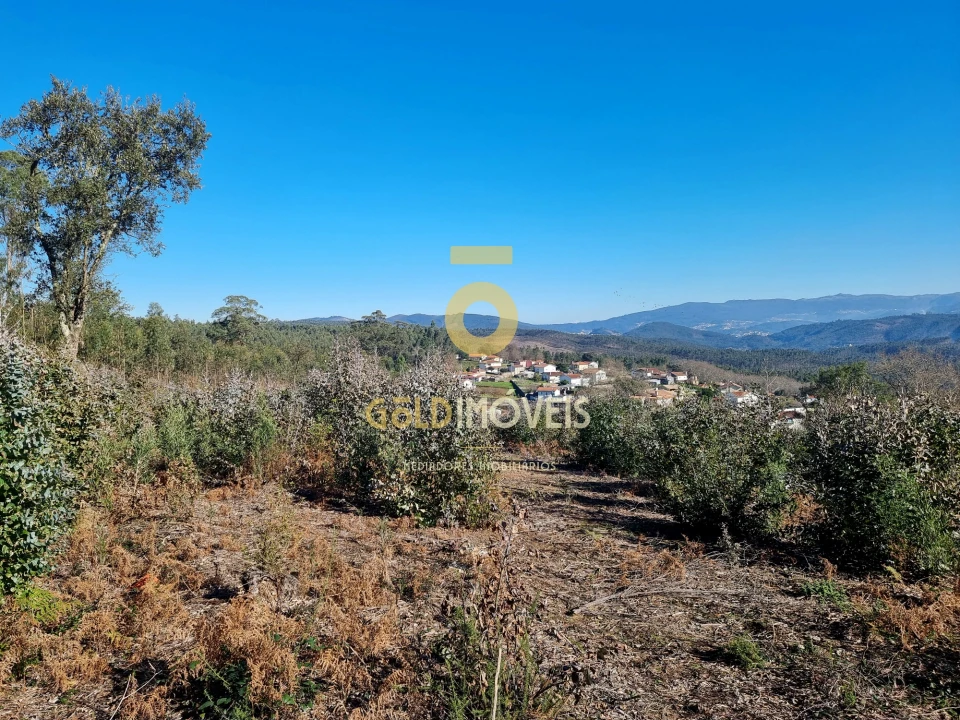Terreno para Venda em Pinheiro da Bemposta, Travanca e Palmaz Foto 17