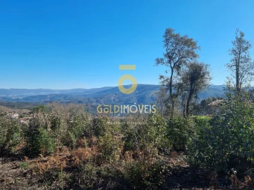 Terreno para Venda em Pinheiro da Bemposta, Travanca e Palmaz