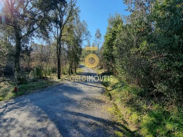 Terreno para Venda em Pinheiro da Bemposta, Travanca e Palmaz