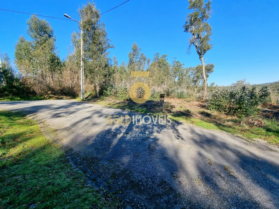 Terreno para Venda em Pinheiro da Bemposta, Travanca e Palmaz Foto 11