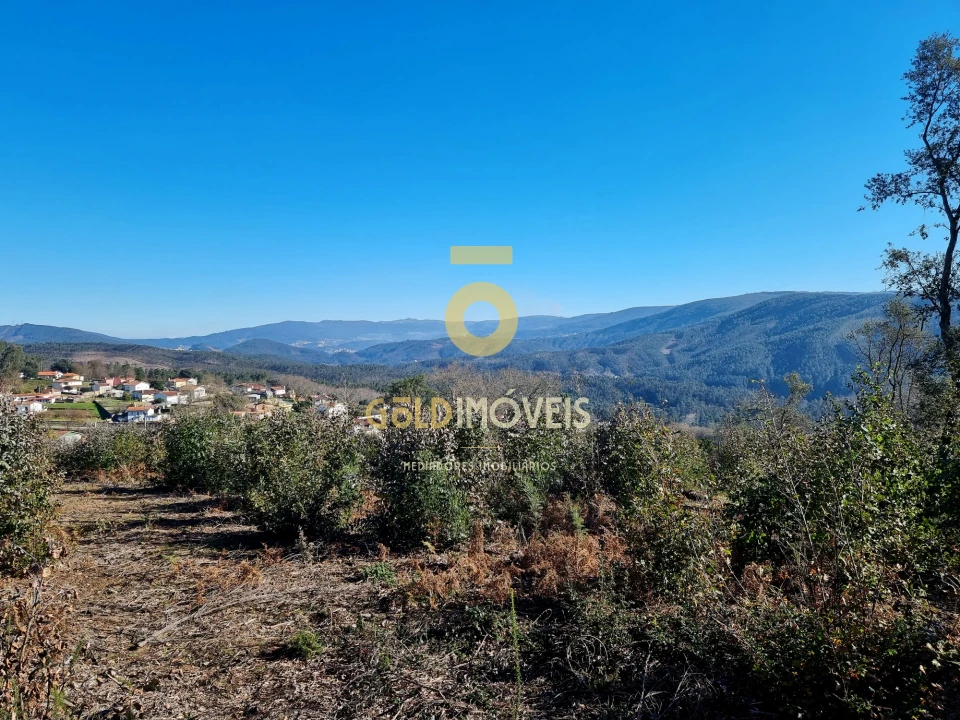 Terreno para Venda em Pinheiro da Bemposta, Travanca e Palmaz Foto 16
