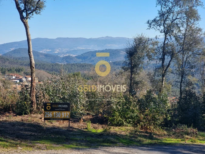 Terreno para Venda em Pinheiro da Bemposta, Travanca e Palmaz Foto 14