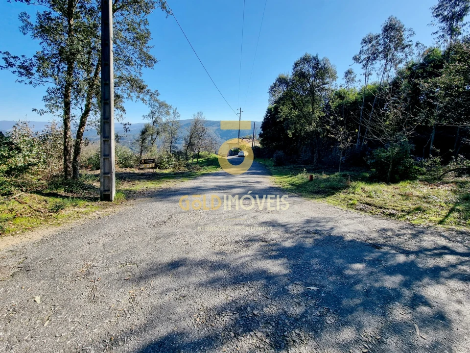 Terreno para Venda em Pinheiro da Bemposta, Travanca e Palmaz Foto 13