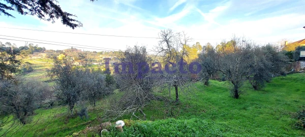 Moradia T0 para Venda em Silgueiros