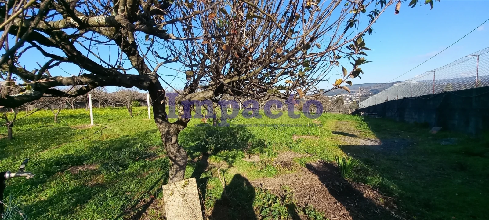 Armazém para Venda em São João da Madeira Foto 12