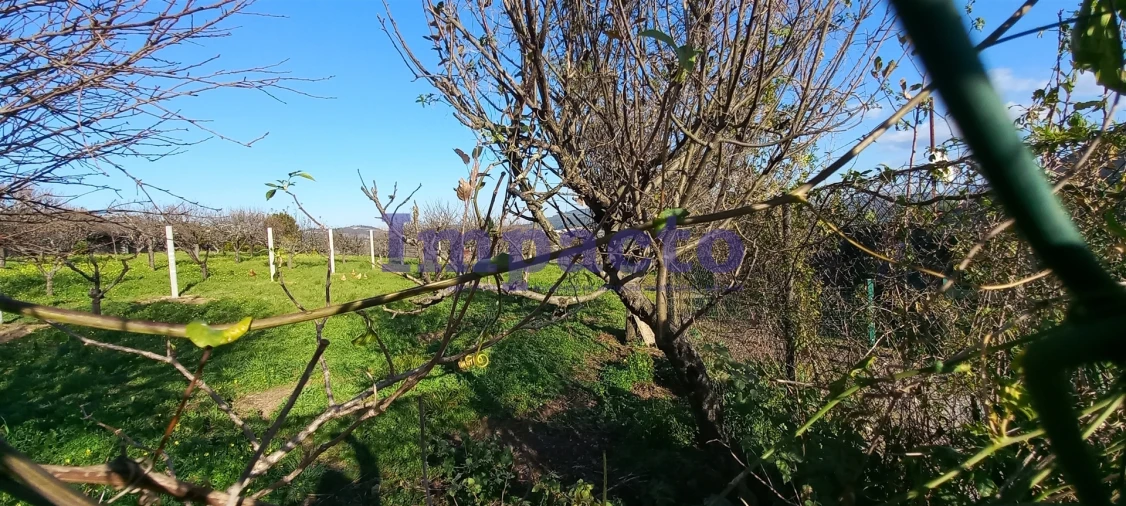 Armazém para Venda em São João da Madeira Foto 11