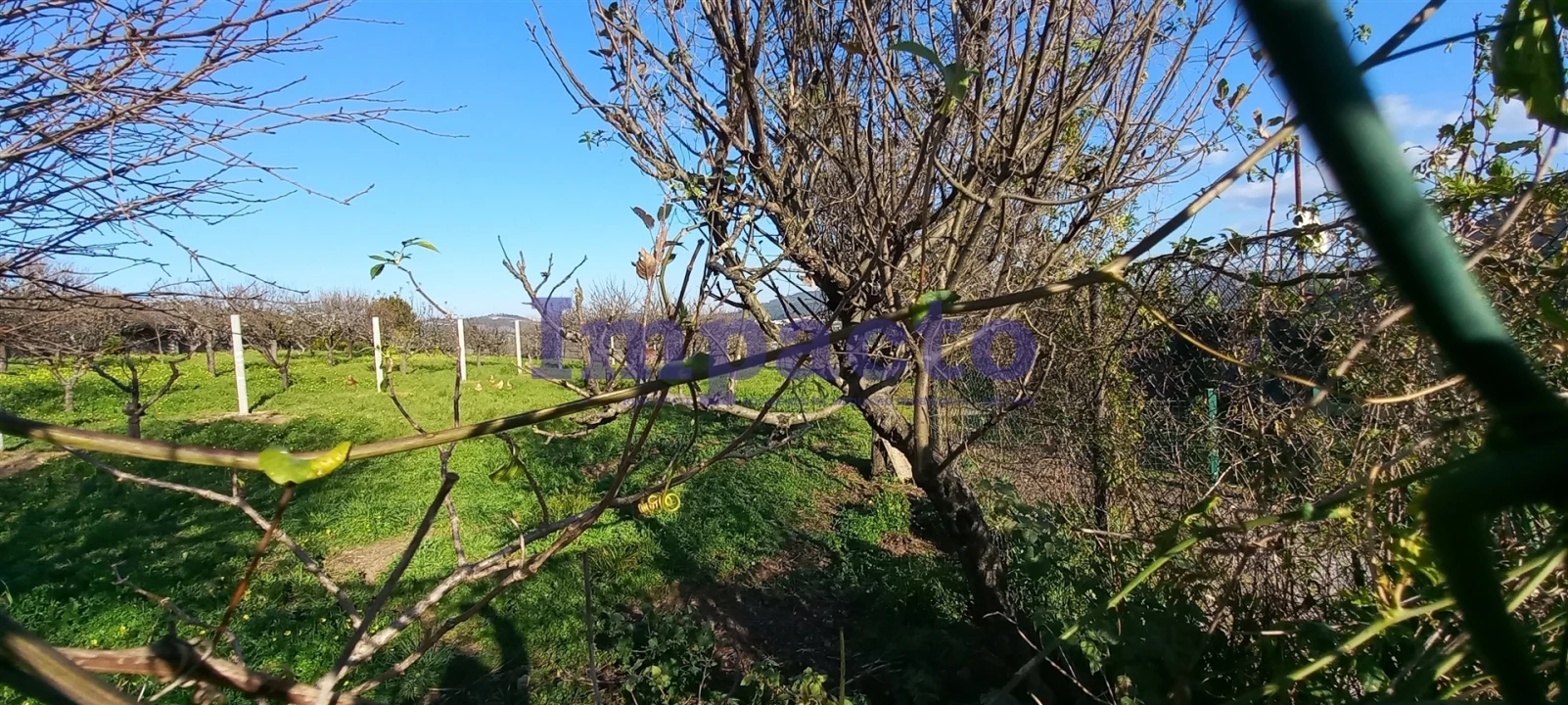 Armazém para Venda em São João da Madeira Foto 11