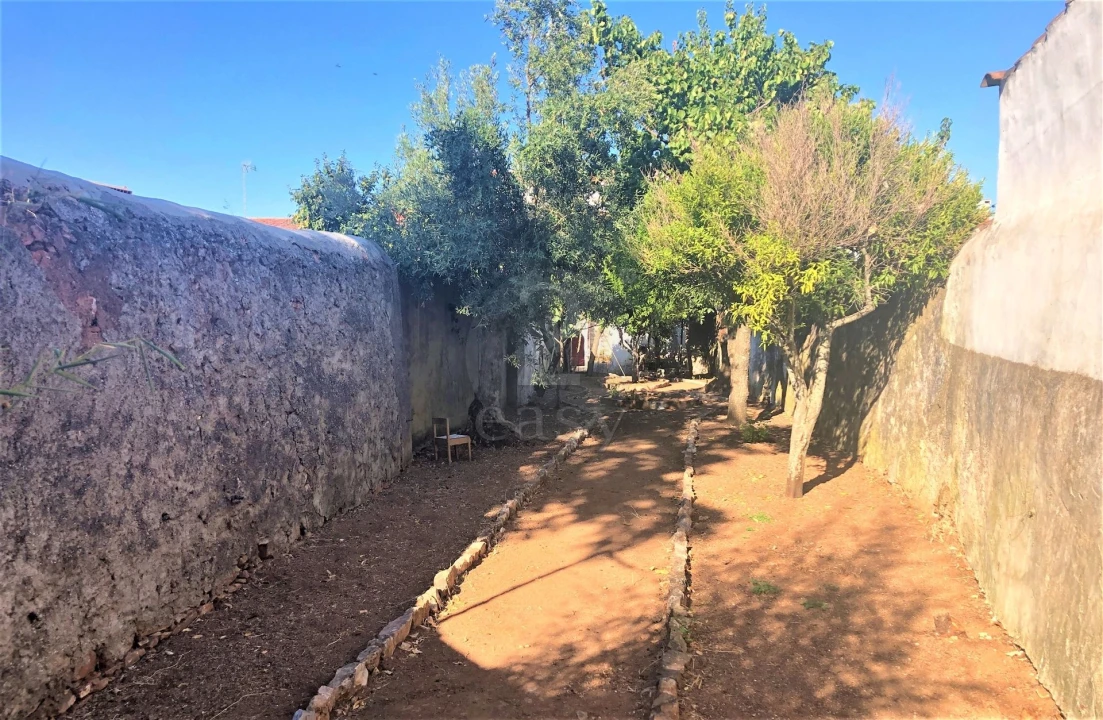 Moradia T20 para Venda em Borba (São Bartolomeu) Foto 41