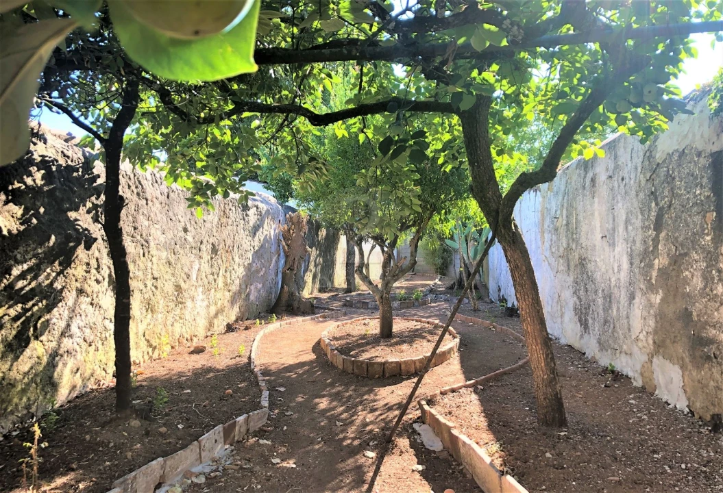 Moradia T20 para Venda em Borba (São Bartolomeu) Foto 36