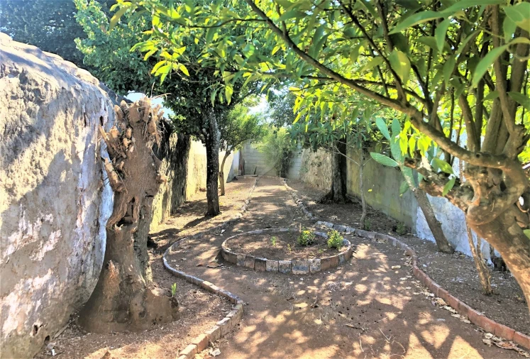 Moradia T20 para Venda em Borba (São Bartolomeu) Foto 34