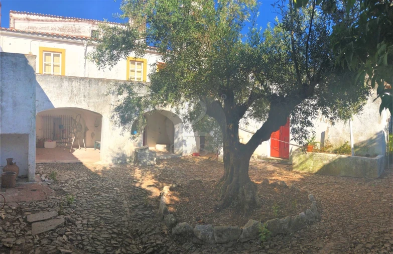 Moradia T20 para Venda em Borba (São Bartolomeu) Foto 37