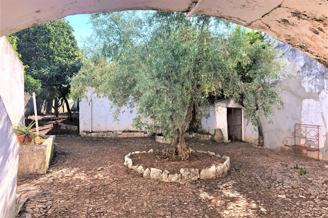 Moradia T20 para Venda em Borba (São Bartolomeu) Foto 39