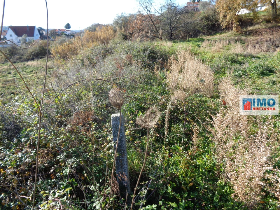 Terreno para Venda em Teixoso e Sarzedo Foto 3