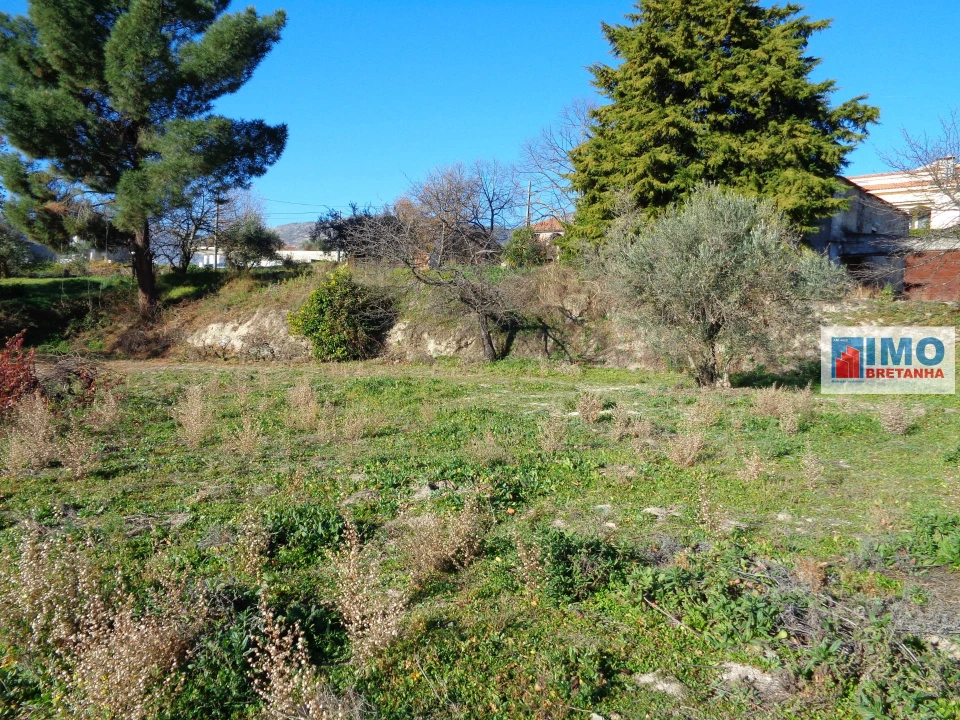 Terreno para Venda em Teixoso e Sarzedo Foto 5
