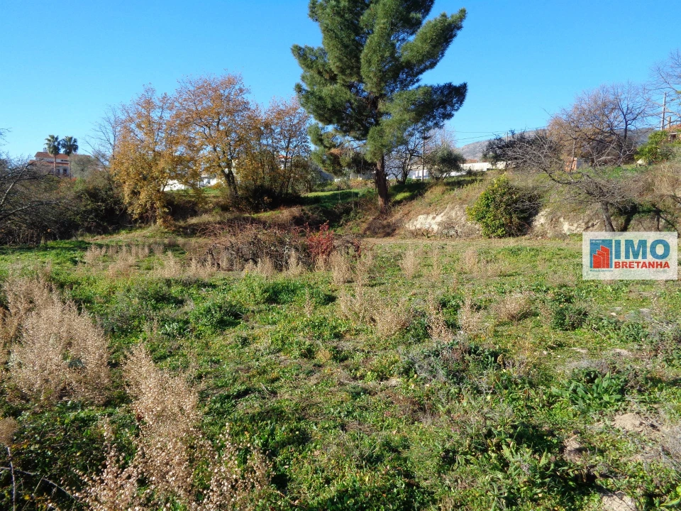 Terreno para Venda em Teixoso e Sarzedo Foto 4