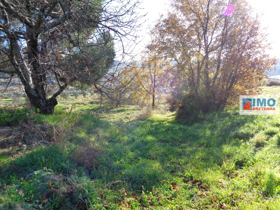 Terreno para Venda em Teixoso e Sarzedo Foto 7