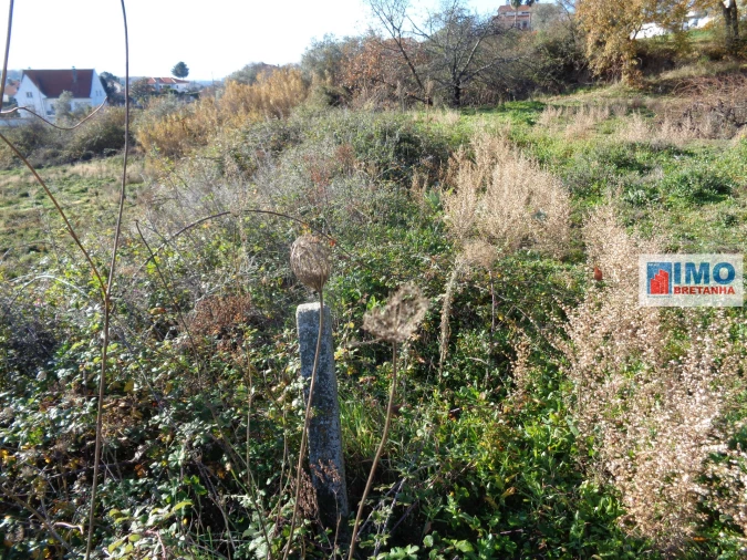 Terreno para Venda em Teixoso e Sarzedo Foto 3