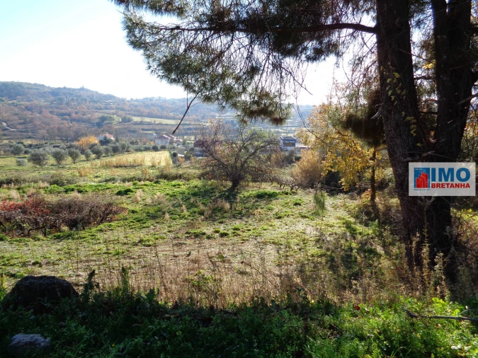 Terreno para Venda em Teixoso e Sarzedo Foto 2