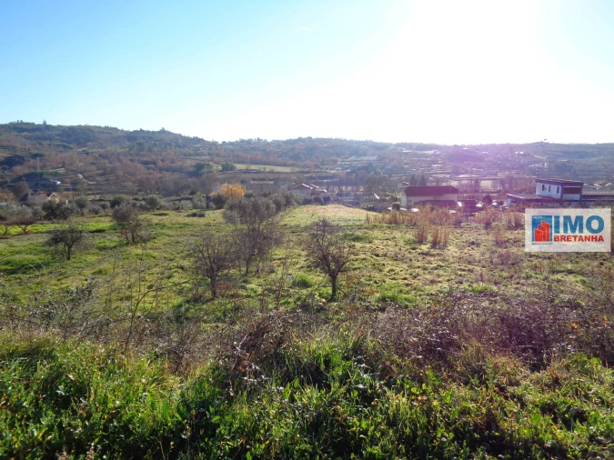Terreno para Venda em Teixoso e Sarzedo Foto 6