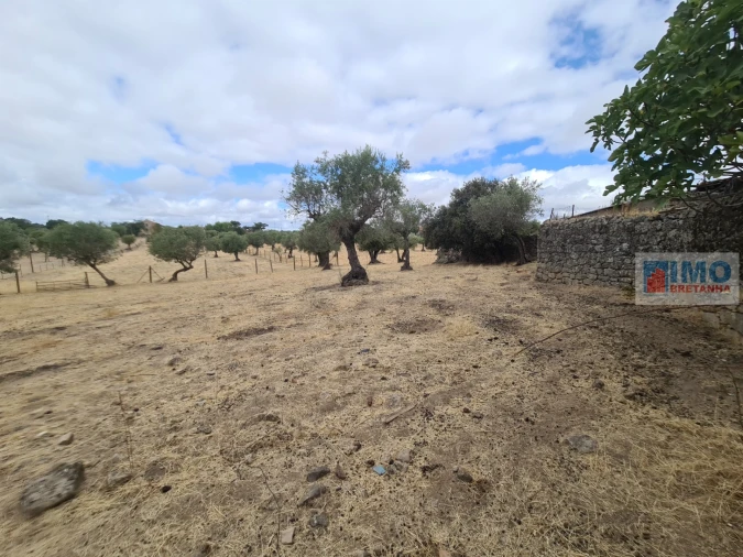Armazém para Venda em Escalos de Cima e Lousa Foto 10