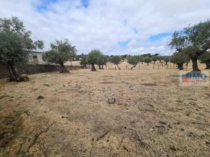 Armazém para Venda em Escalos de Cima e Lousa Foto 9