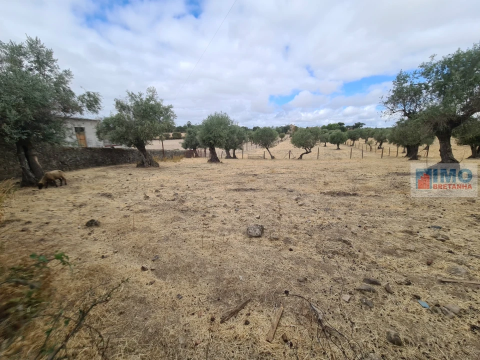 Armazém para Venda em Escalos de Cima e Lousa Foto 9