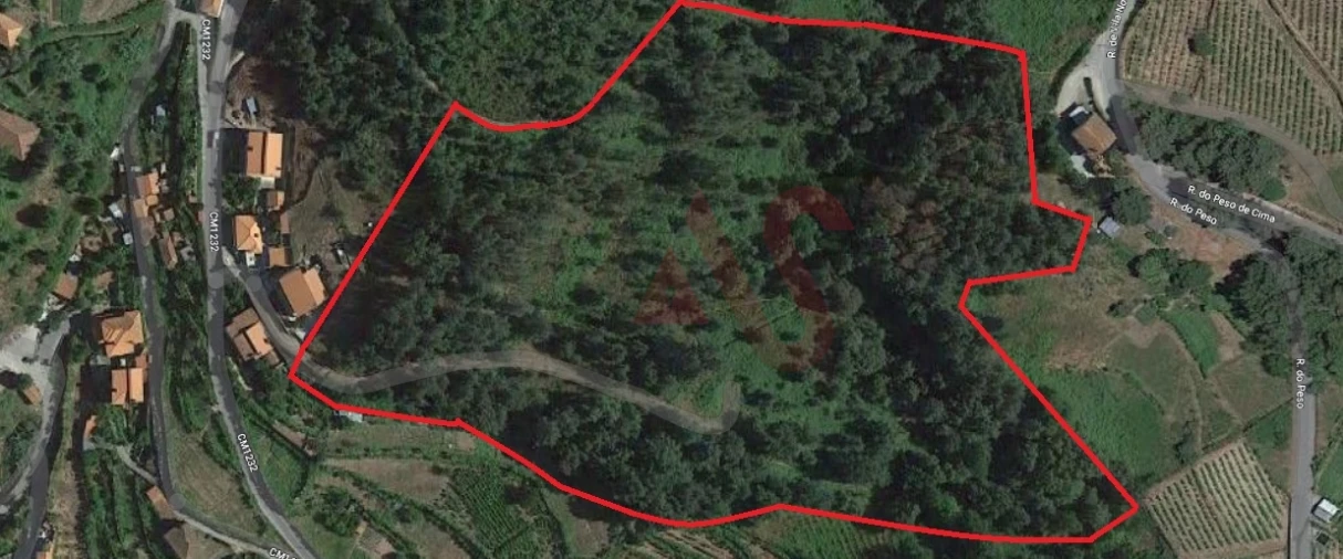 Terreno para Venda em Santa Marinha do Zezere Foto 1