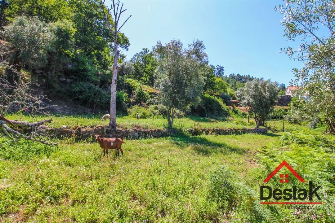 Quinta T0 para Venda em Vila Maior Foto 10
