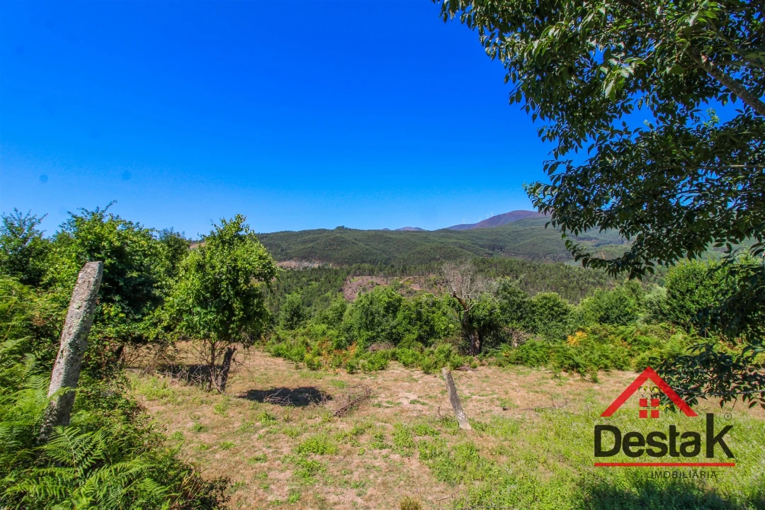 Quinta T0 para Venda em Vila Maior Foto 15