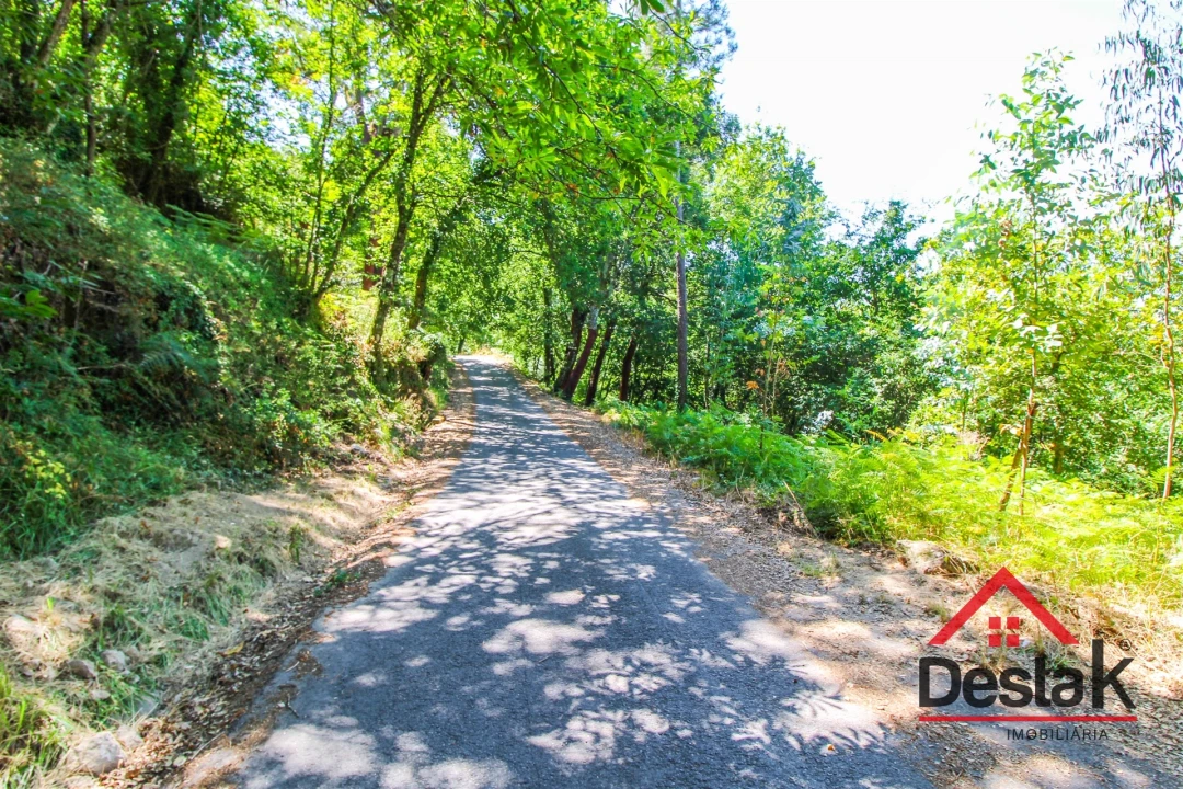 Quinta T0 para Venda em Vila Maior Foto 20