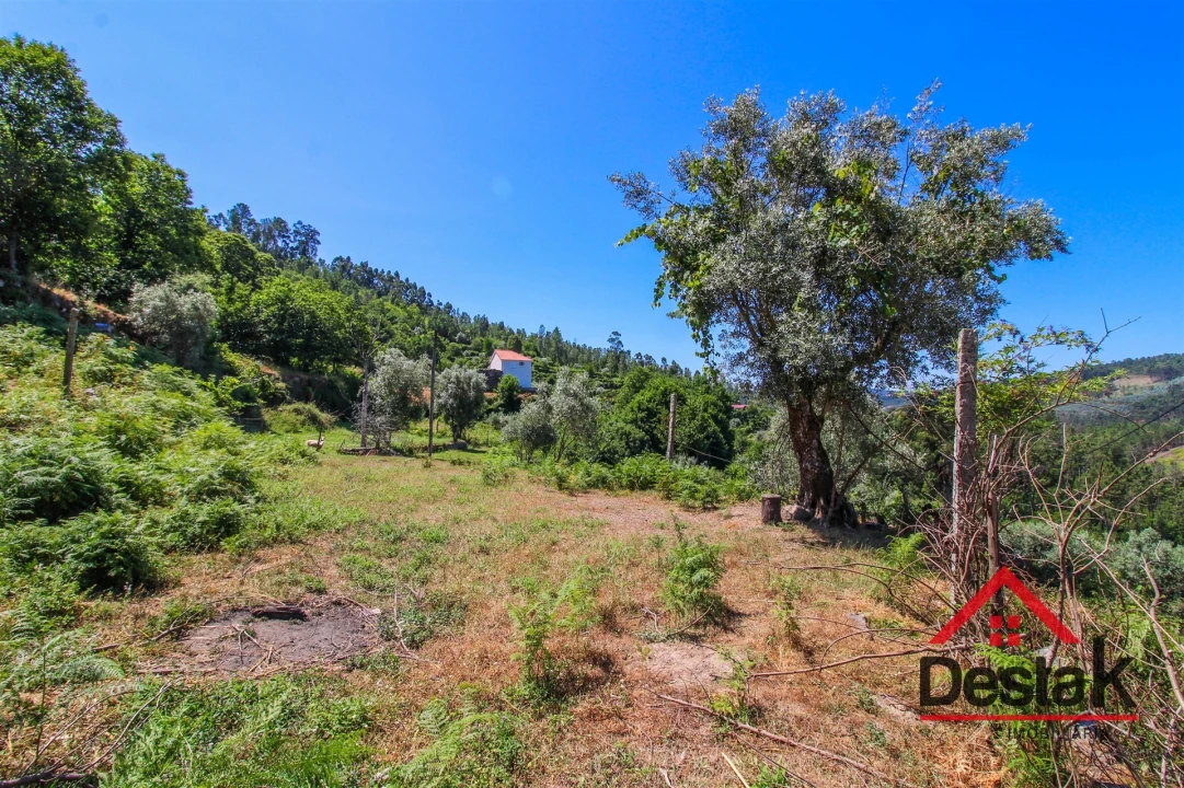 Quinta T0 para Venda em Vila Maior Foto 6