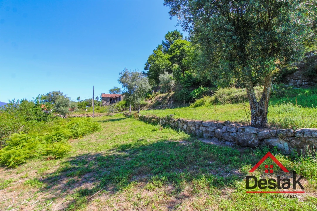 Quinta T0 para Venda em Vila Maior Foto 11