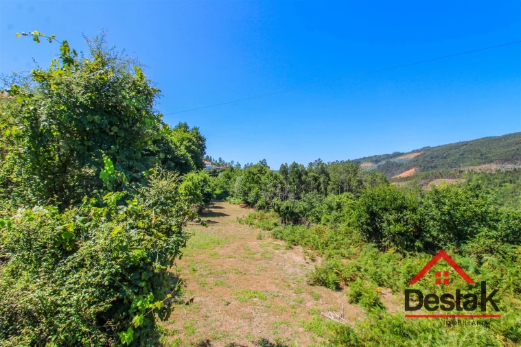 Quinta T0 para Venda em Vila Maior Foto 14