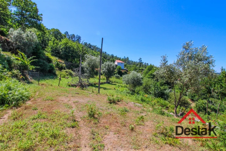 Quinta T0 para Venda em Vila Maior Foto 9