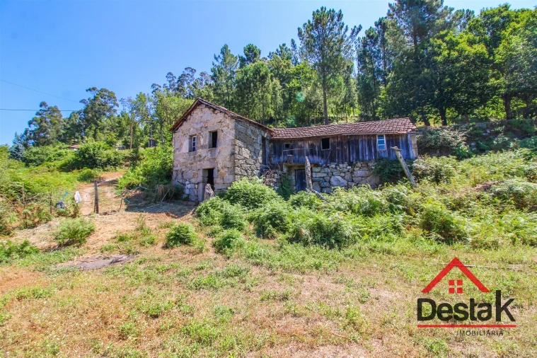 Quinta T0 para Venda em Vila Maior