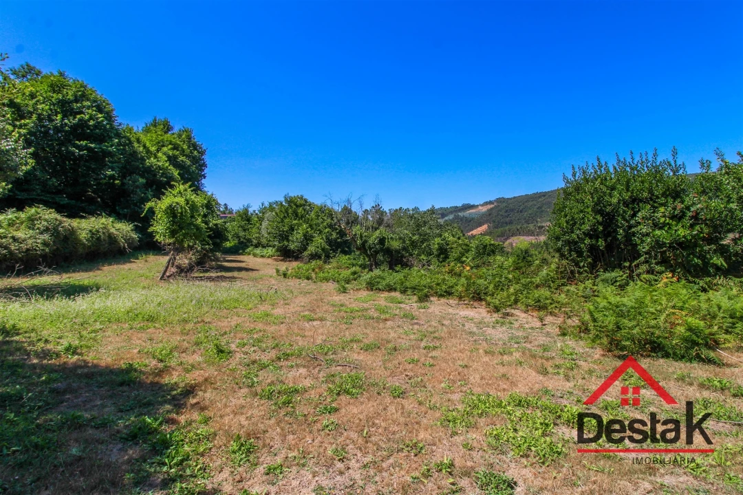 Quinta T0 para Venda em Vila Maior Foto 16