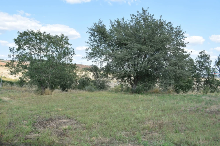 Moradia T4 para Venda em Alcaria Foto 20