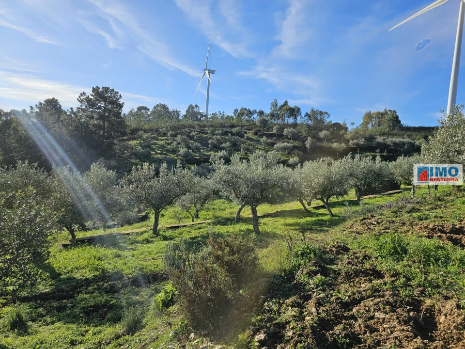 Quinta T0 para Venda em Cebolais de Cima e Retaxo Foto 13