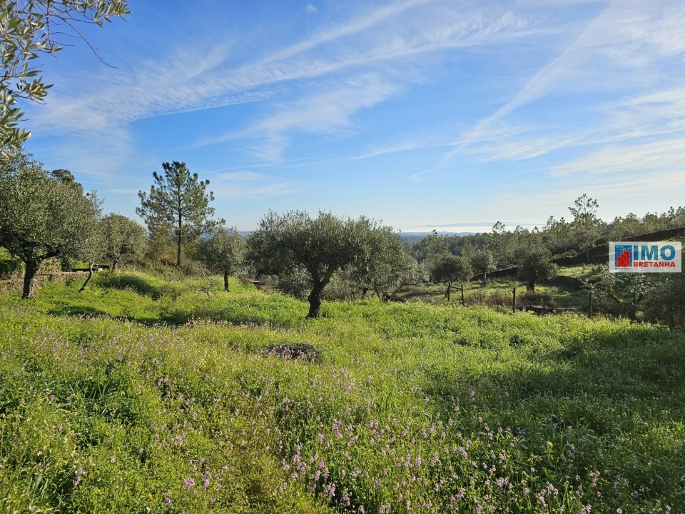 Quinta T0 para Venda em Cebolais de Cima e Retaxo Foto 8