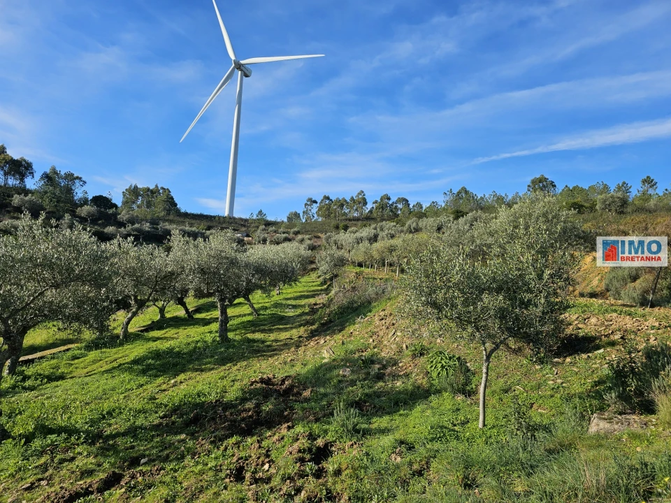 Quinta T0 para Venda em Cebolais de Cima e Retaxo Foto 7