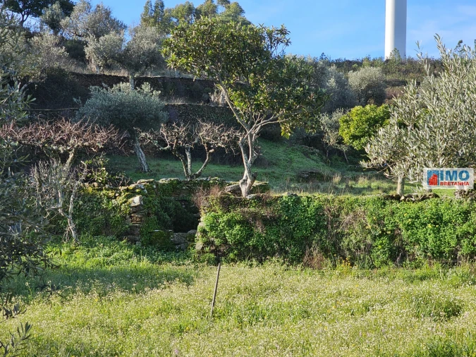 Quinta T0 para Venda em Cebolais de Cima e Retaxo Foto 4