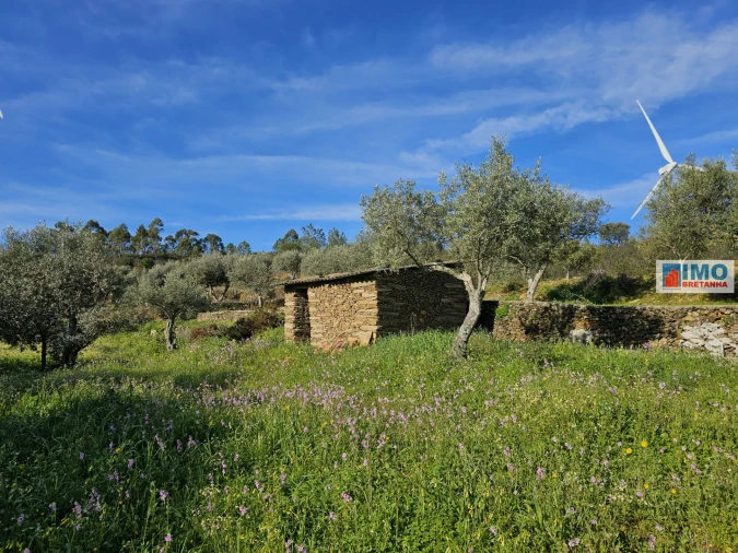 Quinta T0 para Venda em Cebolais de Cima e Retaxo Foto 2