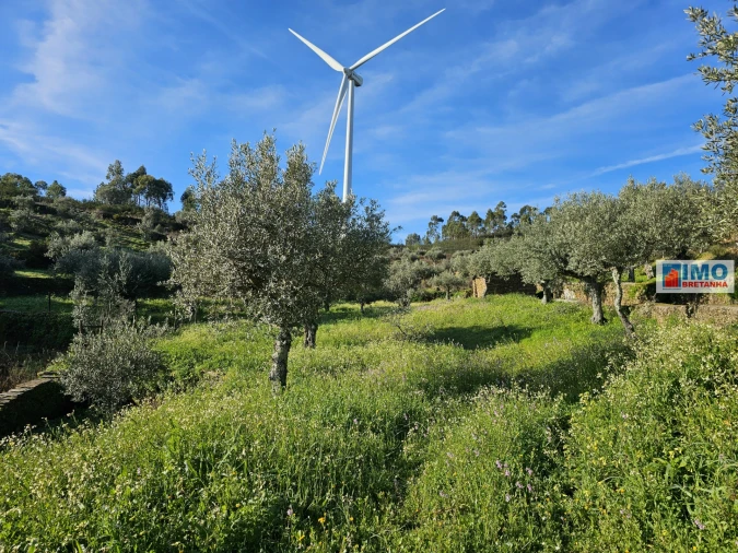 Quinta T0 para Venda em Cebolais de Cima e Retaxo Foto 5