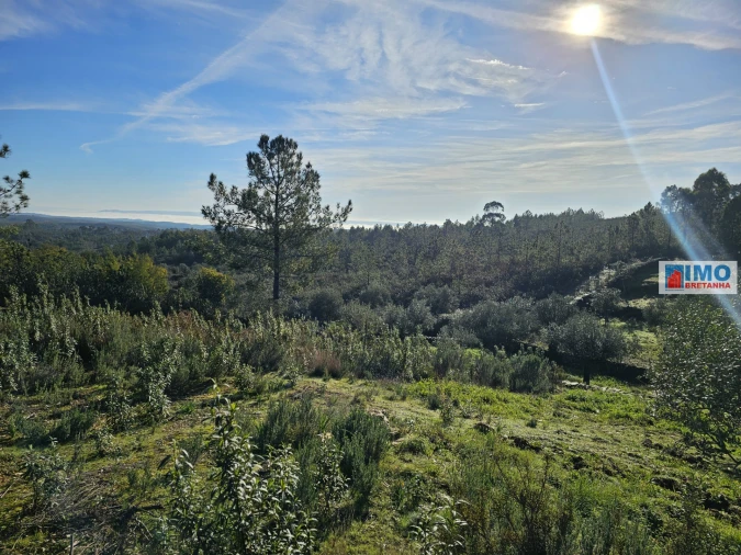 Quinta T0 para Venda em Cebolais de Cima e Retaxo Foto 14