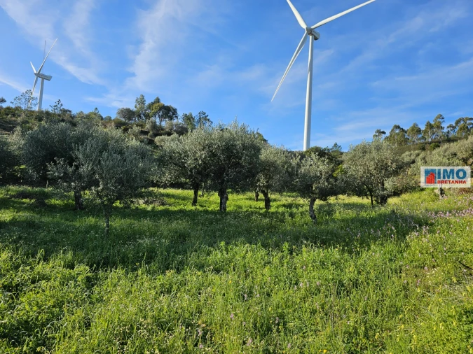 Quinta T0 para Venda em Cebolais de Cima e Retaxo Foto 6